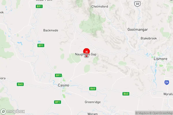 Naughtons Gap,New South Wales Area Map