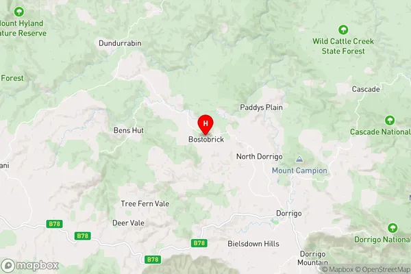 Bostobrick,New South Wales Area Map