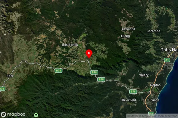 Dorrigo,New South Wales Satellite Map