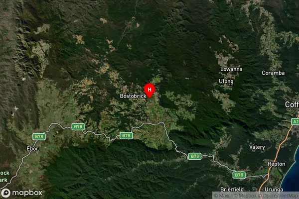 Dorrigo North,New South Wales Satellite Map