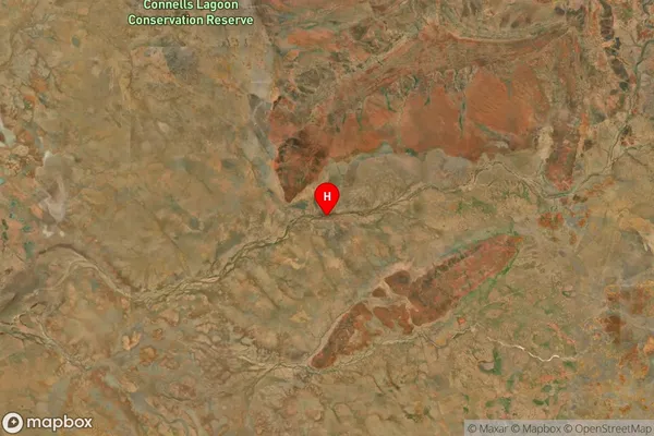 Nicholson,Northern Territory Satellite Map