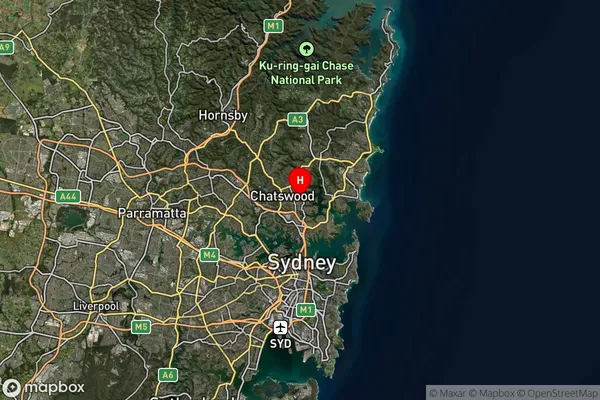 Willoughby East,New South Wales Satellite Map