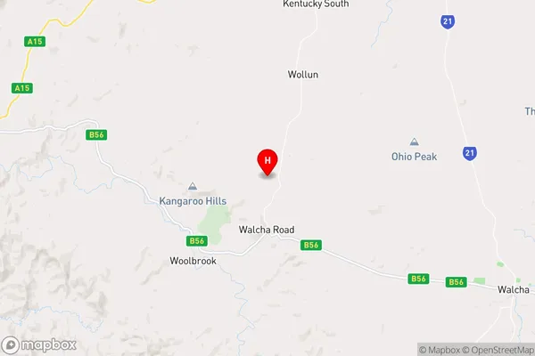 Walcha Road,New South Wales Area Map