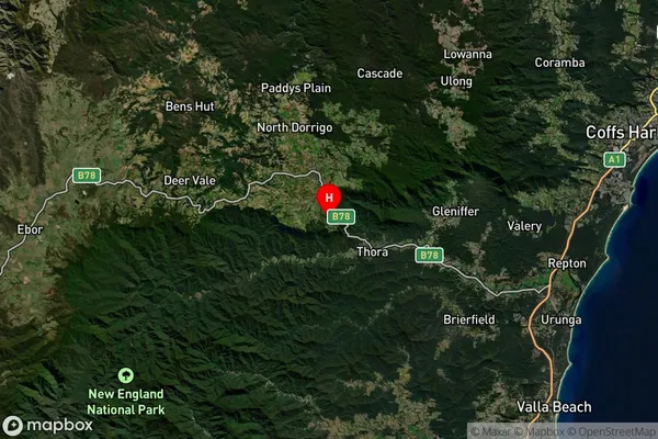 Dorrigo Mountain,New South Wales Satellite Map