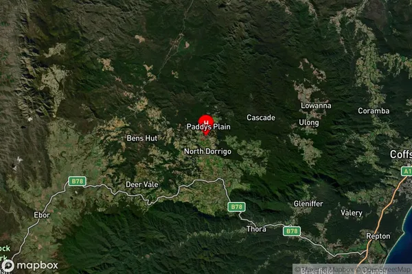 North Dorrigo,New South Wales Satellite Map