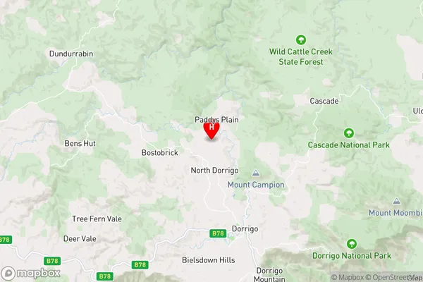 North Dorrigo,New South Wales Area Map