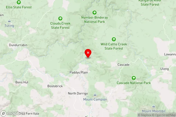 Tallowwood Ridge,New South Wales Area Map