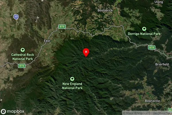 Brinerville,New South Wales Satellite Map