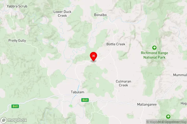 Lower Bottle Creek,New South Wales Area Map