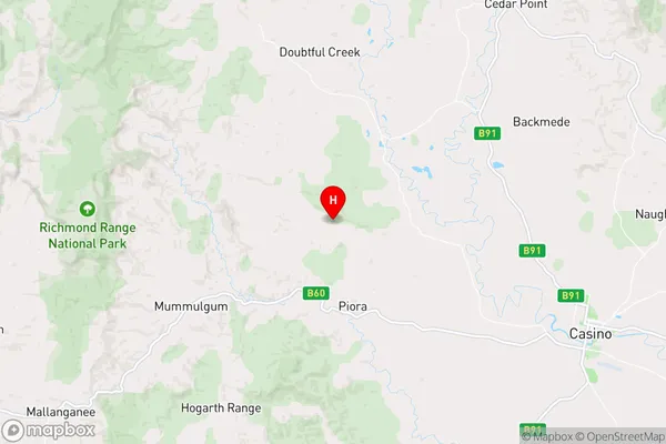 Lower Dyraaba,New South Wales Area Map