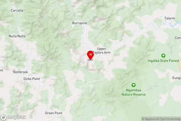 Upper Taylors Arm,New South Wales Area Map