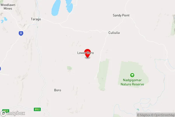 Lower Boro,New South Wales Area Map