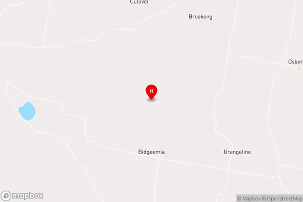 Bidgeemia,New South Wales Area Map