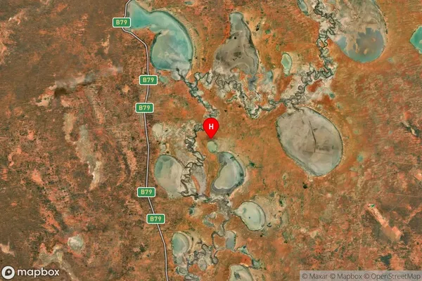 Anabranch North,New South Wales Satellite Map