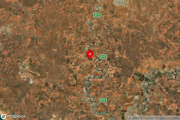 Anabranch South,New South Wales Satellite Map