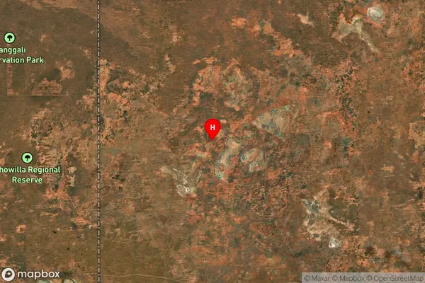 Pine Camp,New South Wales Satellite Map