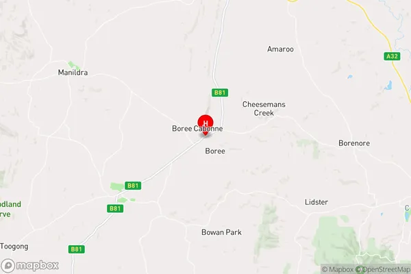 Boree,New South Wales Area Map