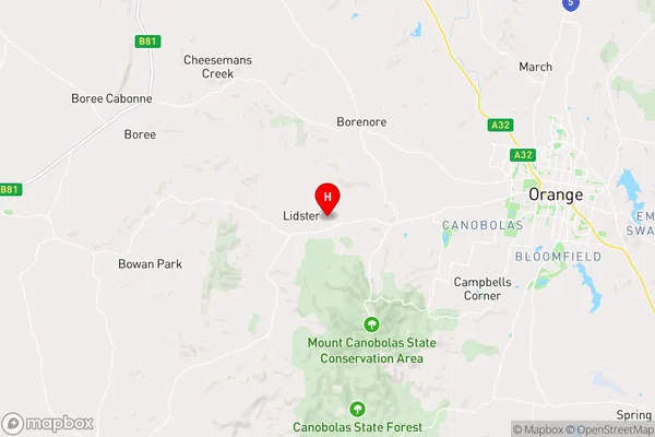 Lidster,New South Wales Area Map