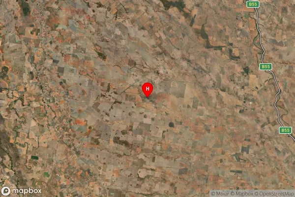 Pine Clump,New South Wales Satellite Map