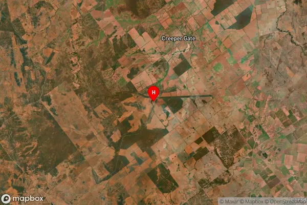 Pangee,New South Wales Satellite Map