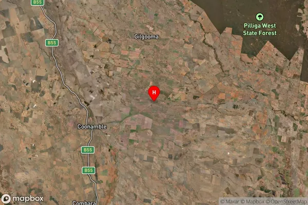 Nebea,New South Wales Satellite Map