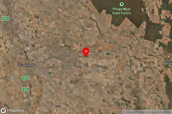 Pine Grove,New South Wales Satellite Map