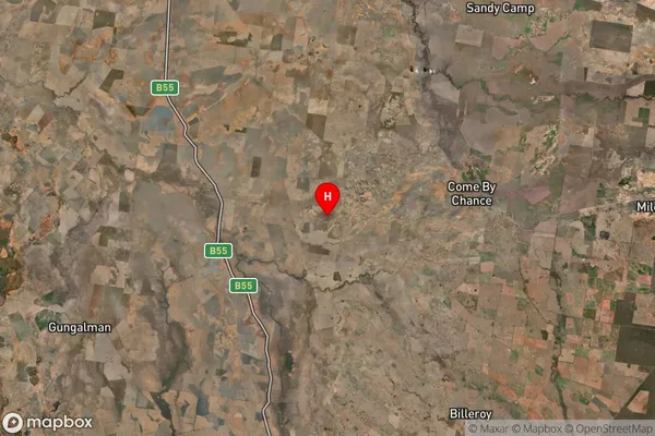 Wingadee,New South Wales Satellite Map