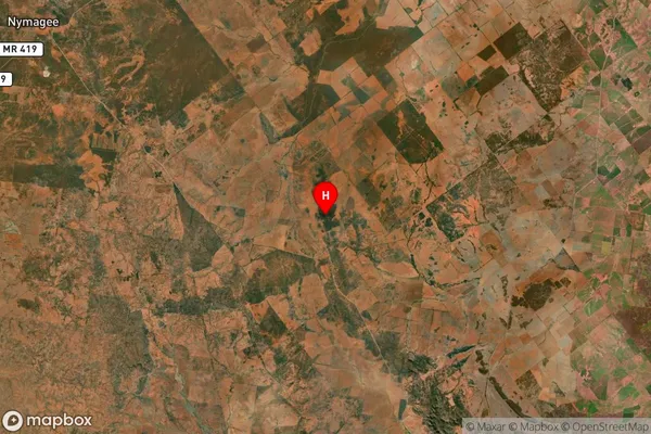 Bobadah,New South Wales Satellite Map