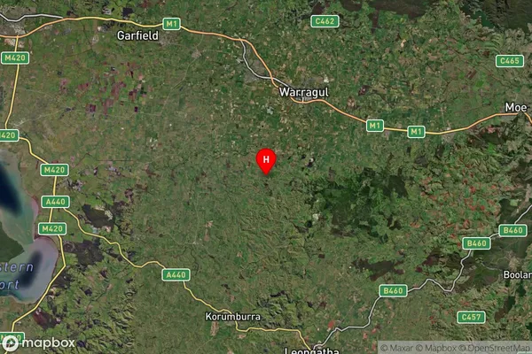 Torwood,Victoria Satellite Map