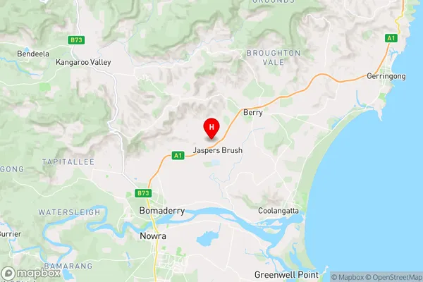 Jaspers Brush,New South Wales Area Map