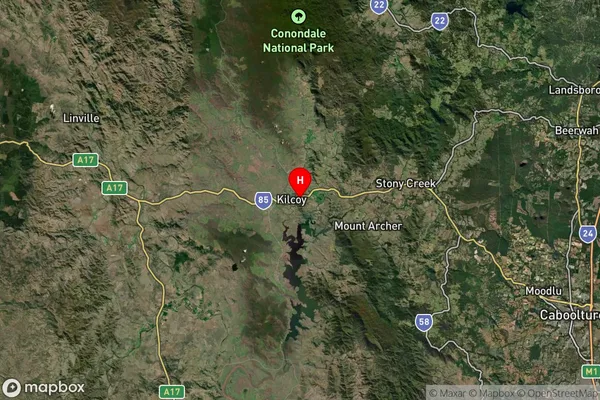 Winya,Queensland Satellite Map