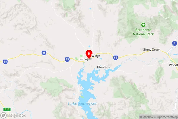 Winya,Queensland Area Map