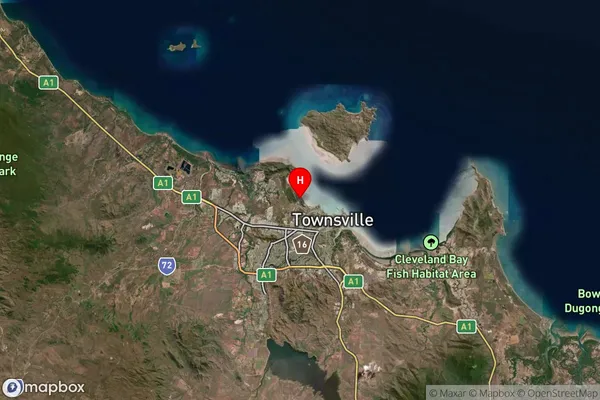 Town Common,Queensland Satellite Map