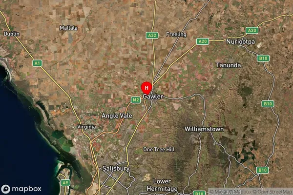 Reid,South Australia Satellite Map