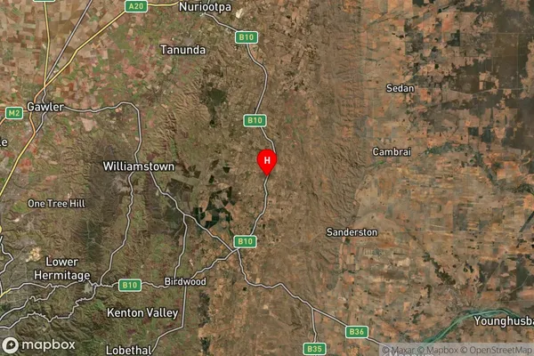 Taunton,South Australia Satellite Map