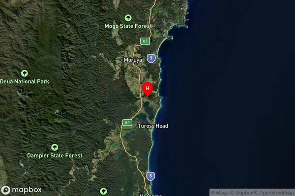 Bergalia,New South Wales Satellite Map