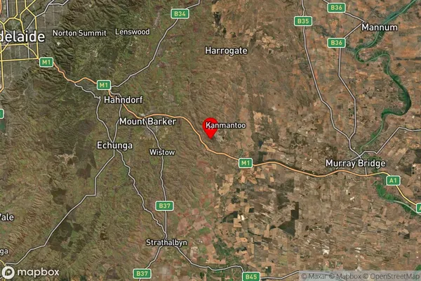 Petwood,South Australia Satellite Map