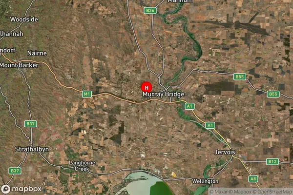 White Hill,South Australia Satellite Map