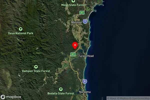 Turlinjah,New South Wales Satellite Map