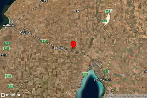 Kulpara,South Australia Satellite Map