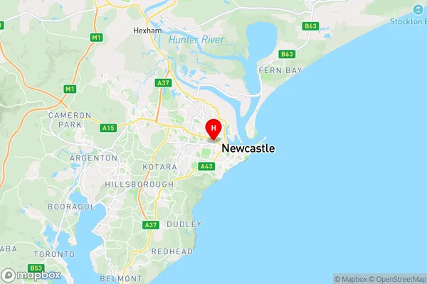 Hamilton Dc,New South Wales Area Map