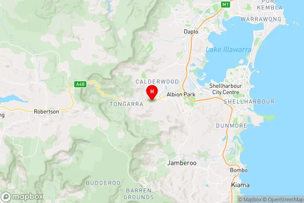 Tullimbar,New South Wales Area Map