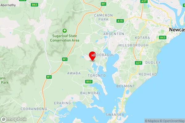 Fassifern,New South Wales Area Map