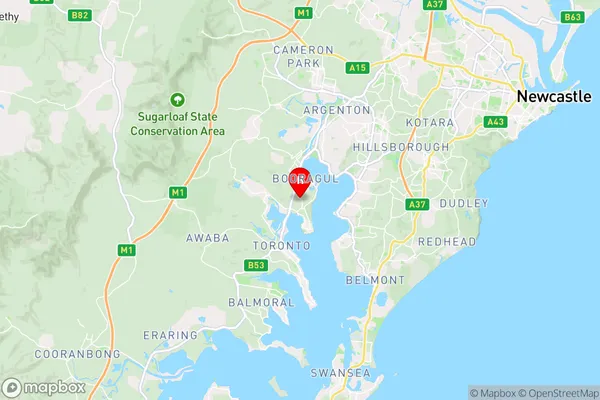 Woodrising,New South Wales Area Map