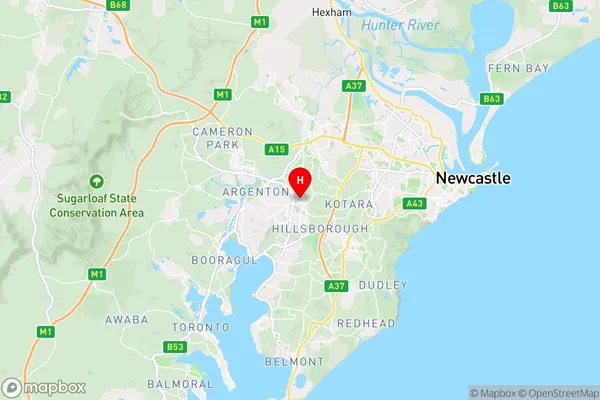 Cardiff,New South Wales Area Map