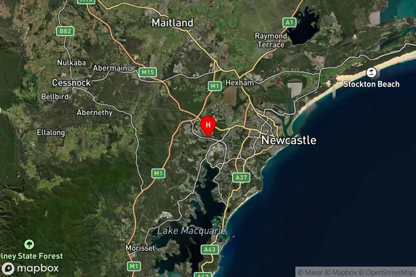 Edgeworth,New South Wales Satellite Map