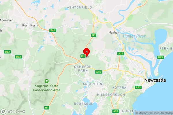 Minmi,New South Wales Area Map