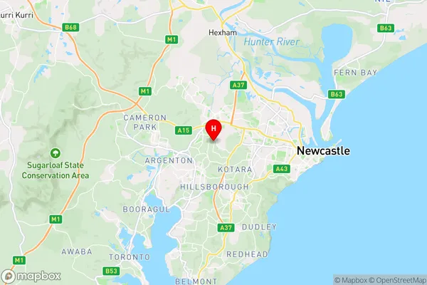 Wallsend South,New South Wales Area Map