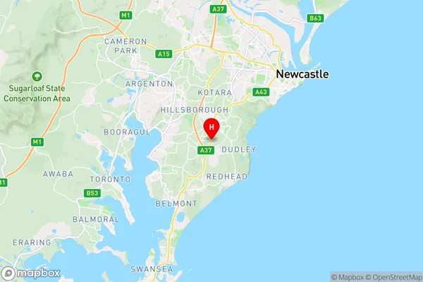 Gateshead,New South Wales Area Map