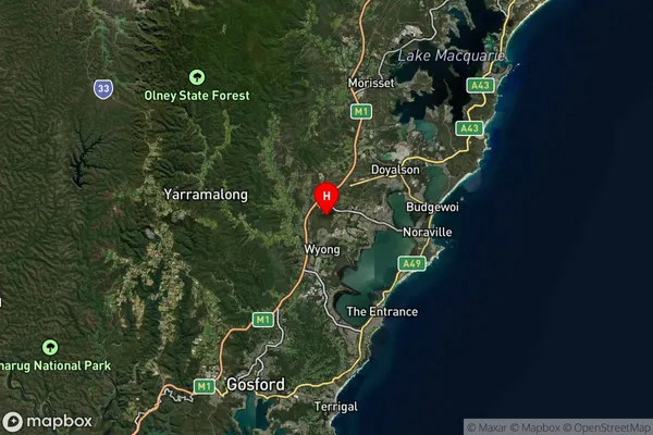 Warnervale,New South Wales Satellite Map